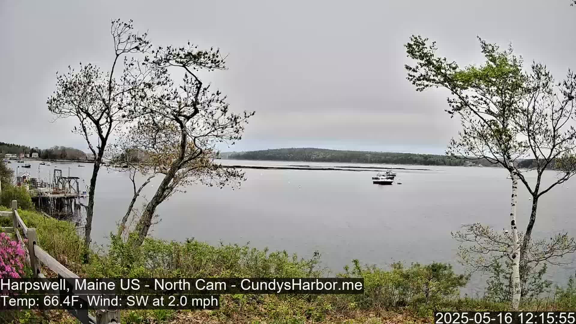 A calm body of water with several boats is seen from a shoreline, under an overcast sky with a gentle southwest wind.