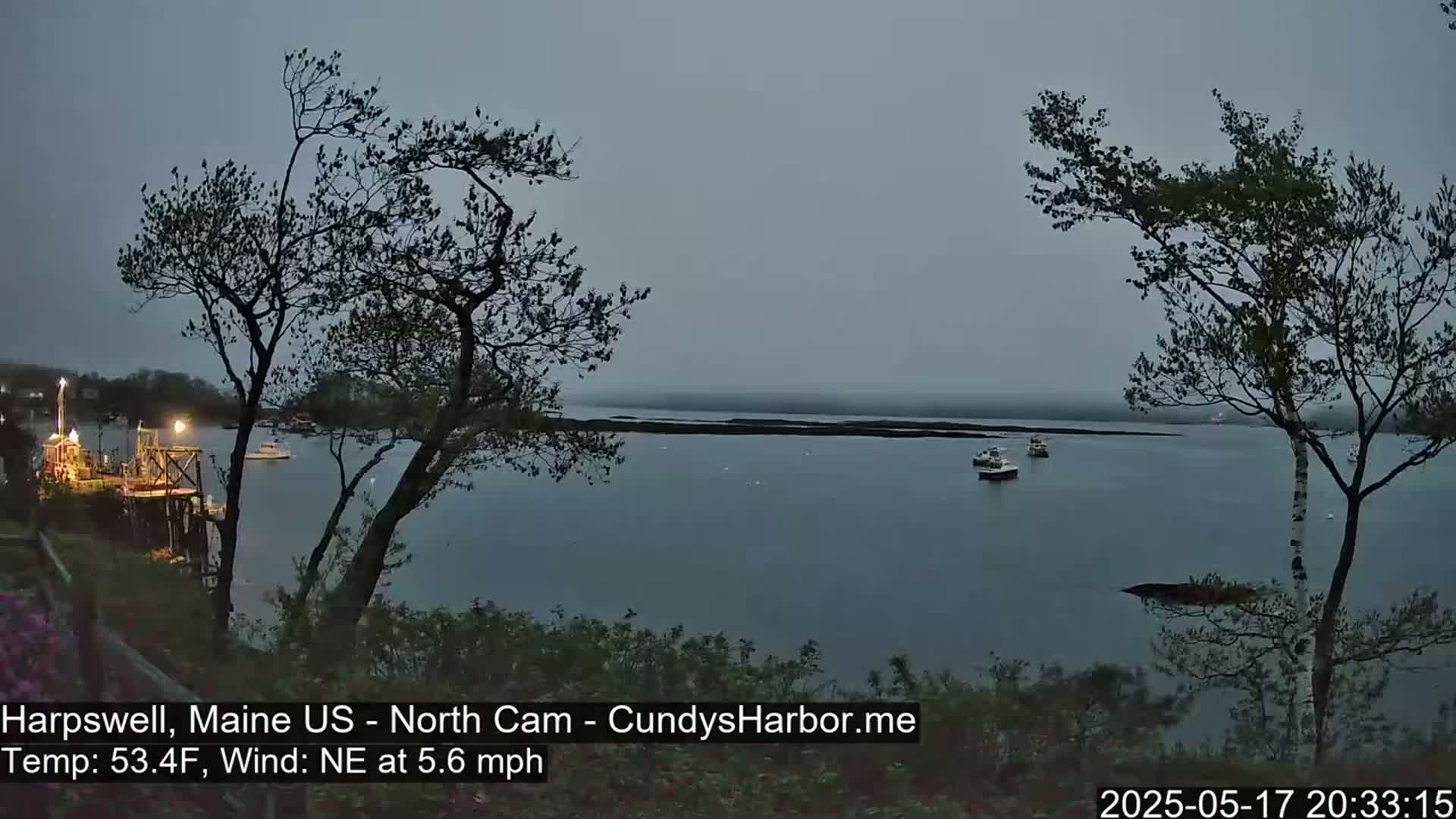 Several boats are visible on a calm, gray body of water under an overcast sky, seen from a vantage point on a shoreline with trees.