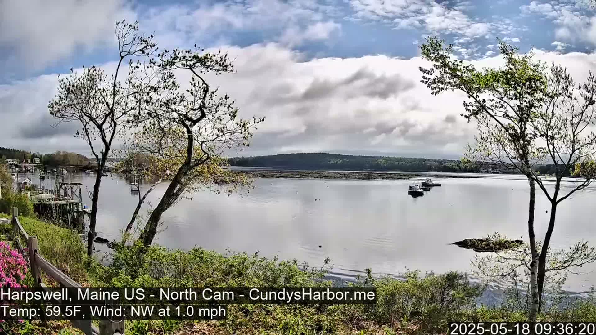 A partly cloudy day with a light northwest wind shows a calm bay with several small boats, viewed from a shoreline with trees and low bushes.