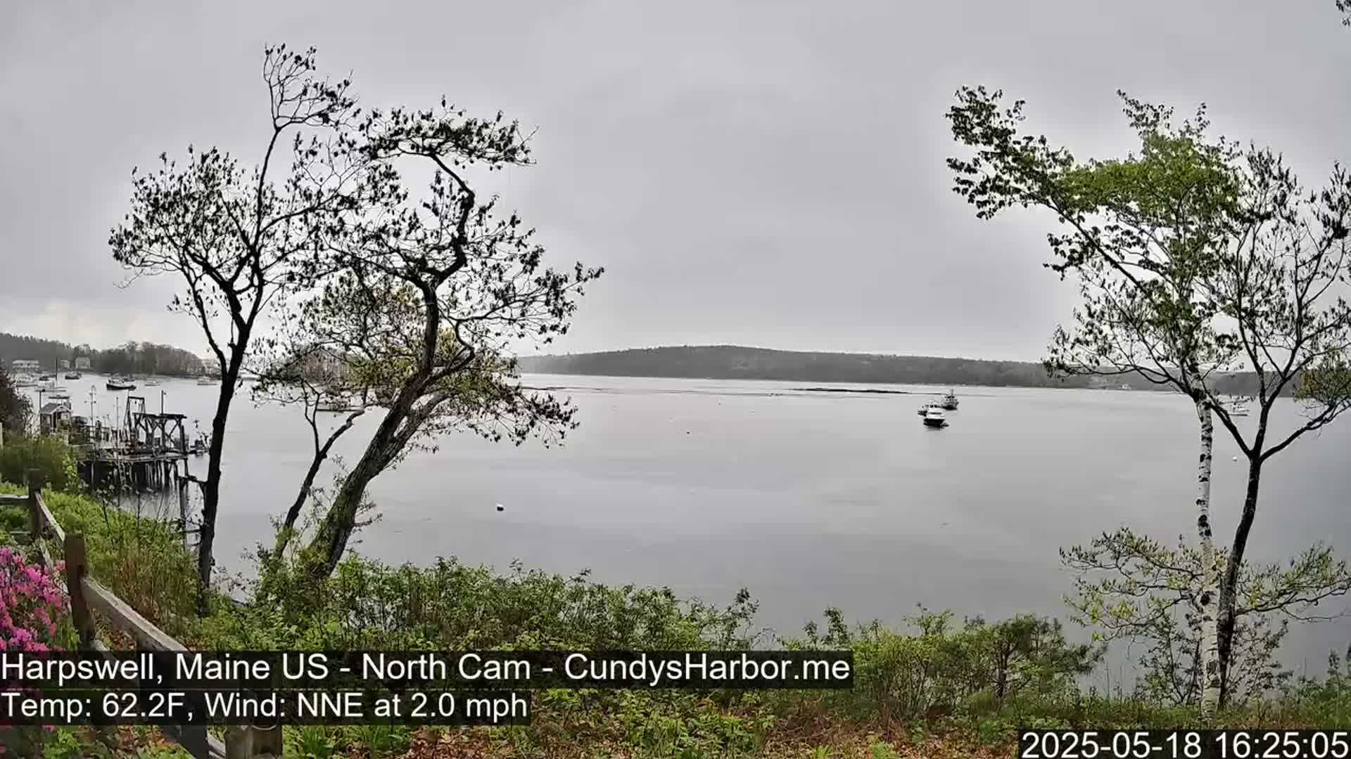 A calm body of water with a few boats is viewed from a slightly elevated vantage point on an overcast day, with bare and budding trees framing the scene.