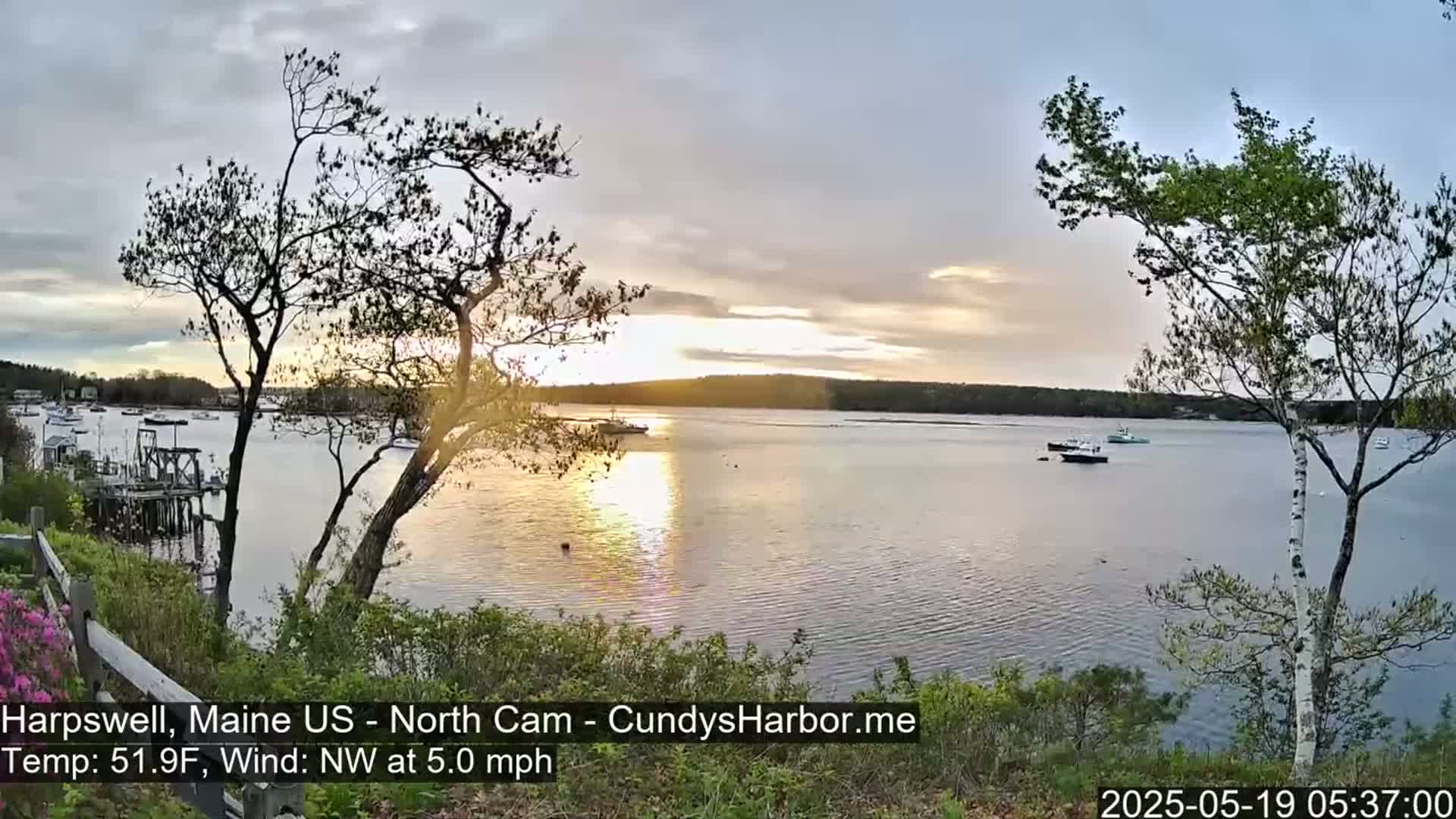 A calm body of water with several boats at sunset, viewed from a shoreline with trees and shrubs, under a partly cloudy sky with a northwest wind.