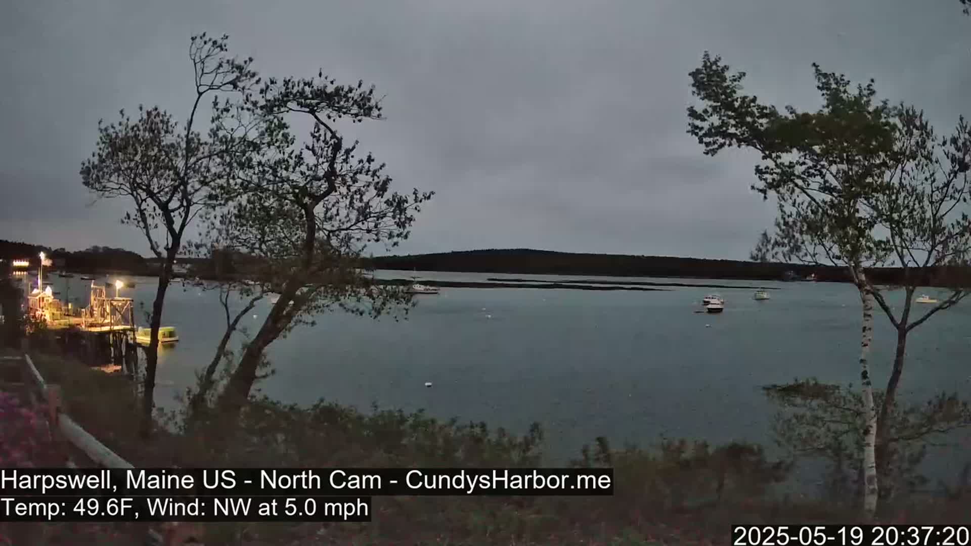 A calm, overcast evening scene shows a body of water with several boats, viewed from a shoreline with trees and a dock.