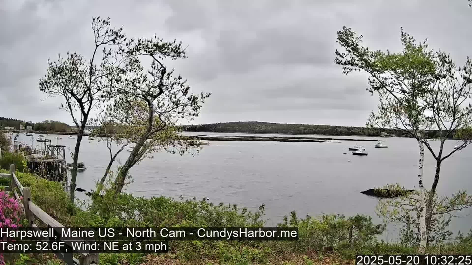 A calm body of water with several boats is seen from a shoreline vantage point under an overcast sky.
