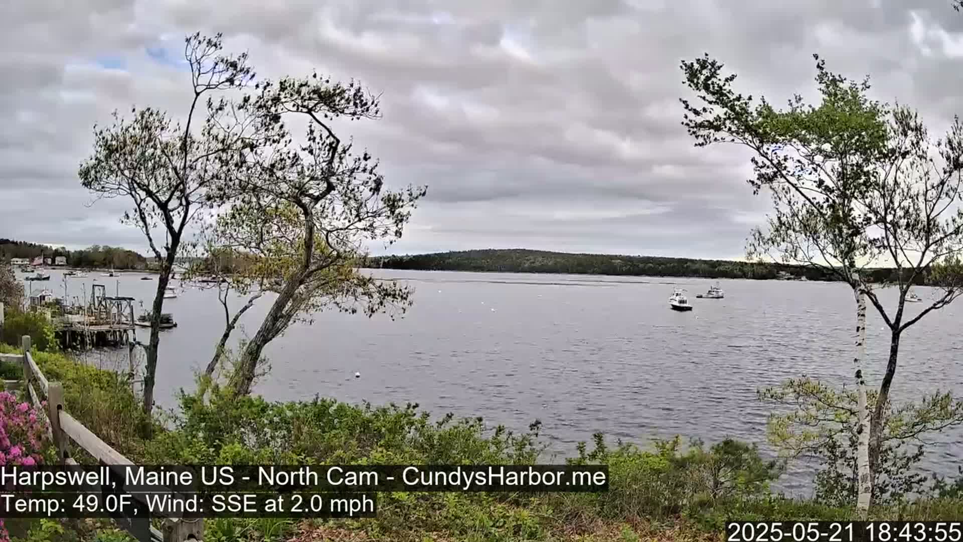 A calm body of water with several boats, viewed from a slightly elevated vantage point under an overcast sky, with trees and vegetation in the foreground.