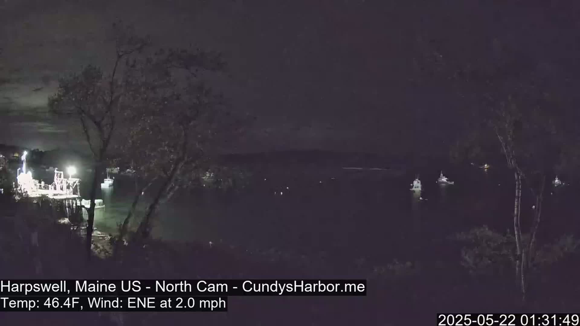 A nighttime view of a dark body of water with several boats moored, seen from a slightly elevated vantage point with trees in the foreground under a clear, dark sky.
