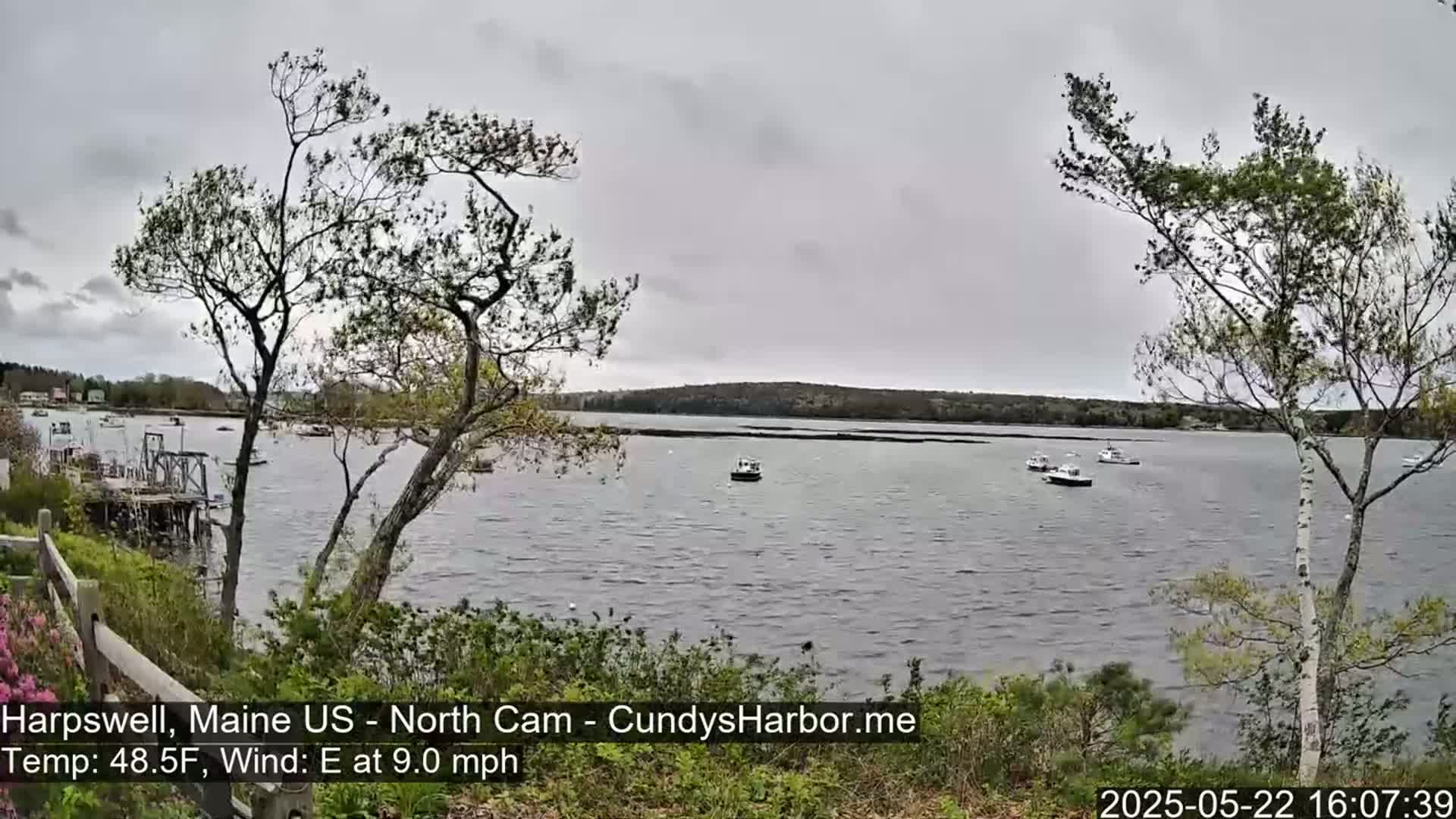 Several small boats are scattered across a calm body of water under an overcast sky, viewed from a shoreline with trees and shrubs.