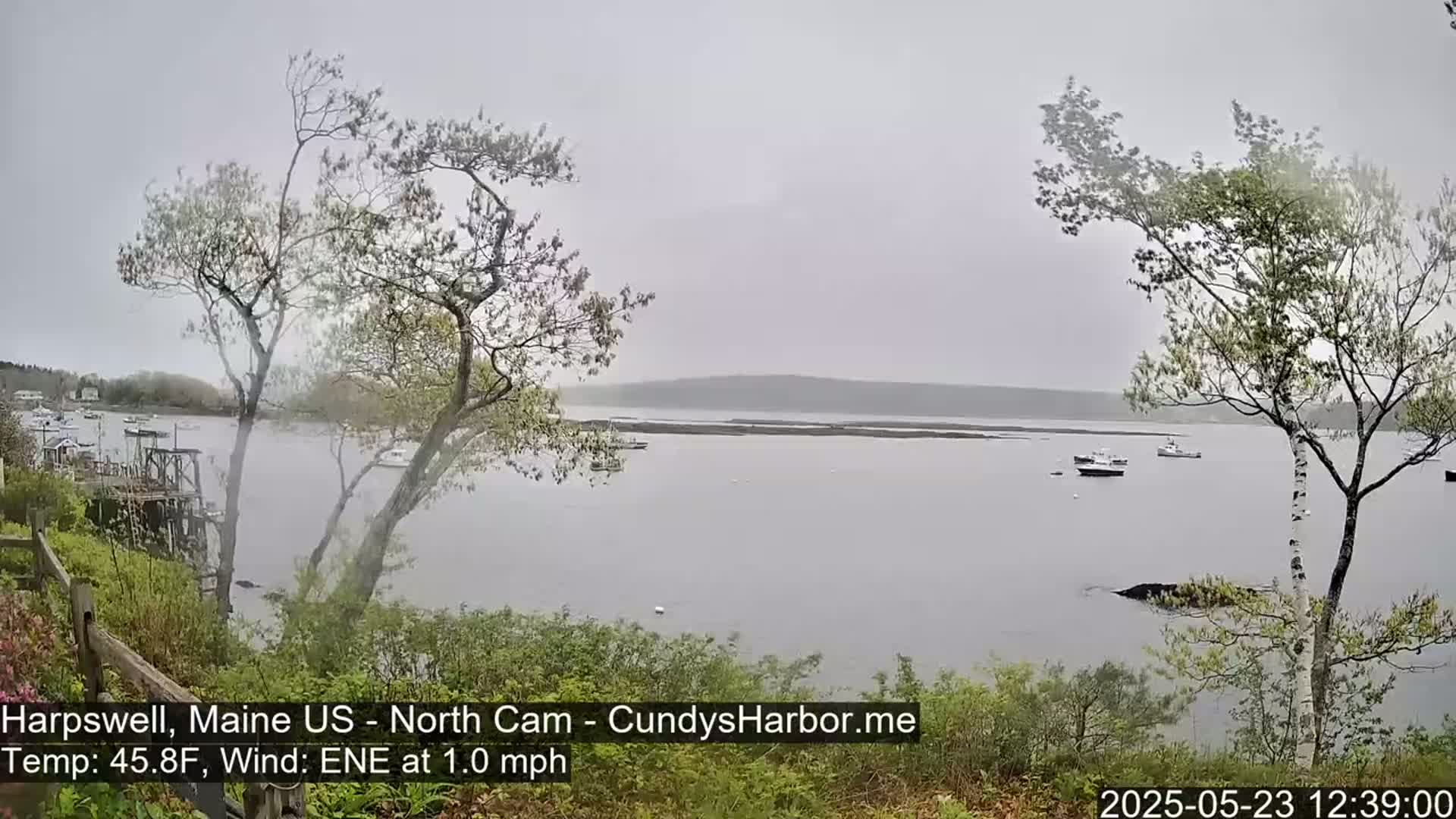 A calm, overcast day shows a body of water with several small boats, viewed from a slightly elevated position with trees and shrubs in the foreground.