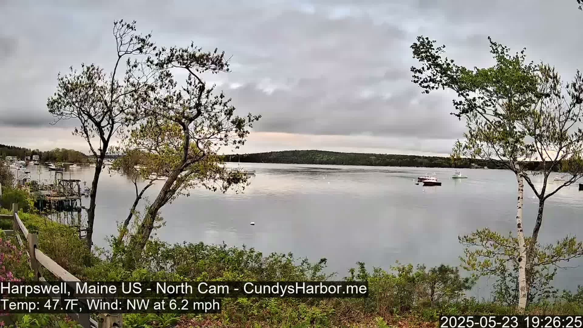 A calm body of water with several boats is viewed from a shoreline with trees under an overcast sky.