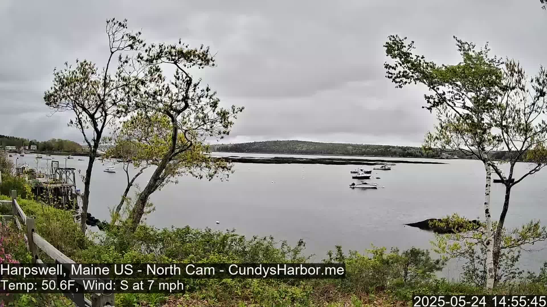 A calm body of water with several boats is viewed from a shoreline on an overcast day with a south wind.