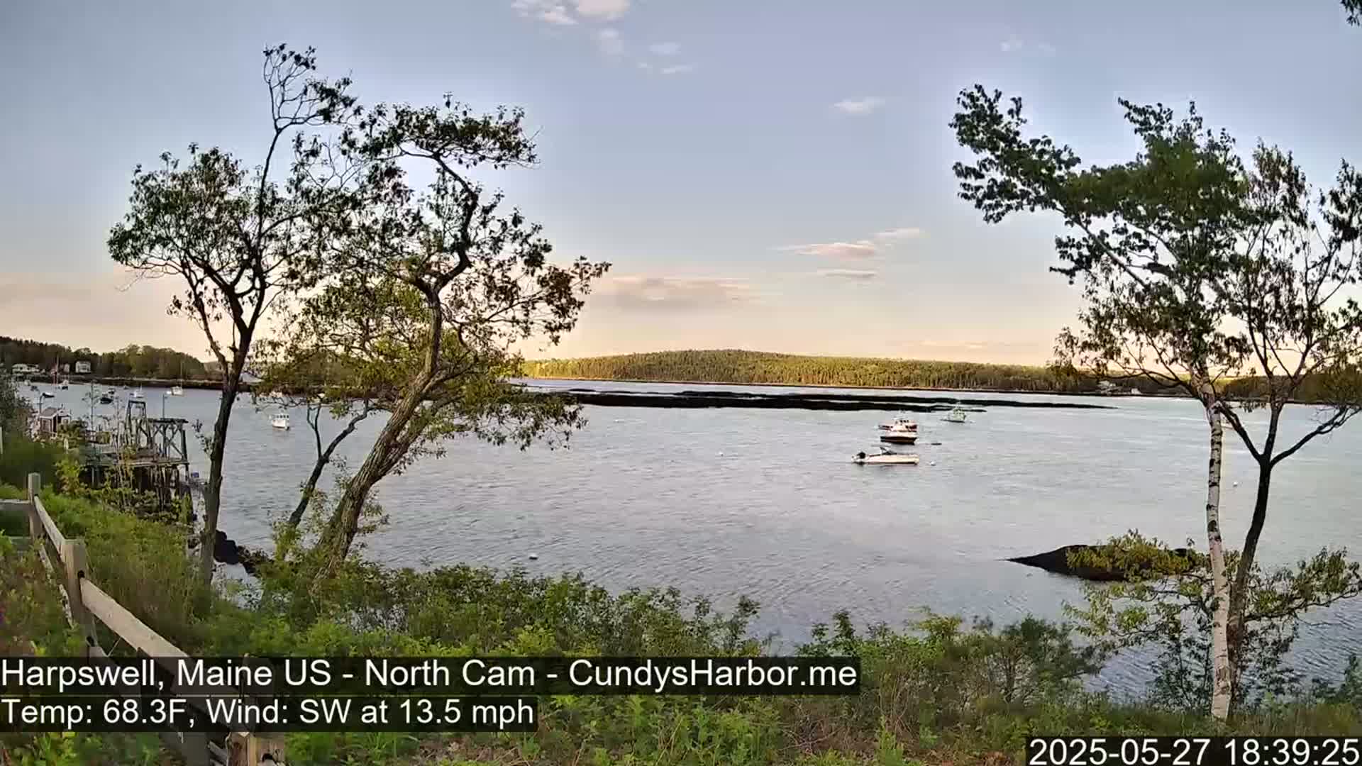 A calm body of water with several boats is viewed from a shoreline with trees under a partly cloudy sky.