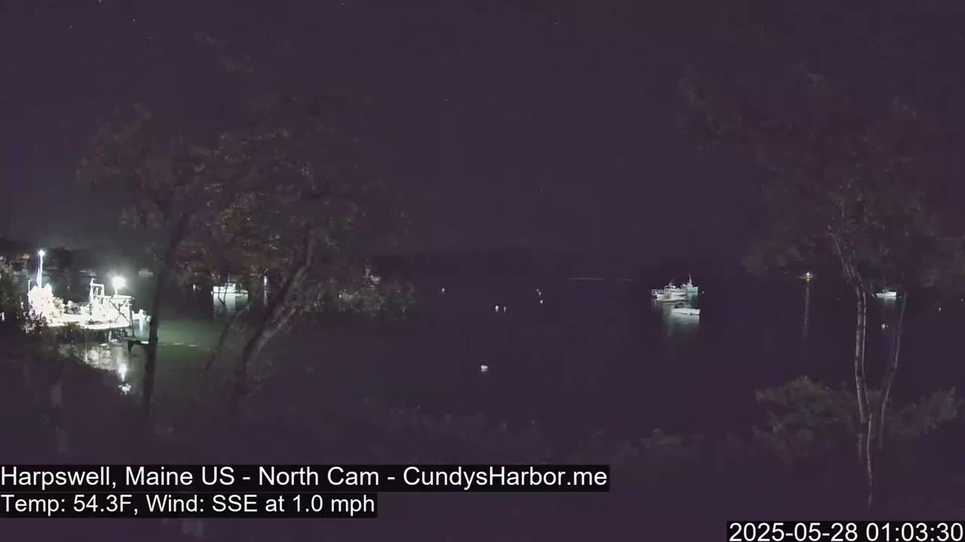 Several boats are moored in a dark, calm harbor at night under a clear sky.