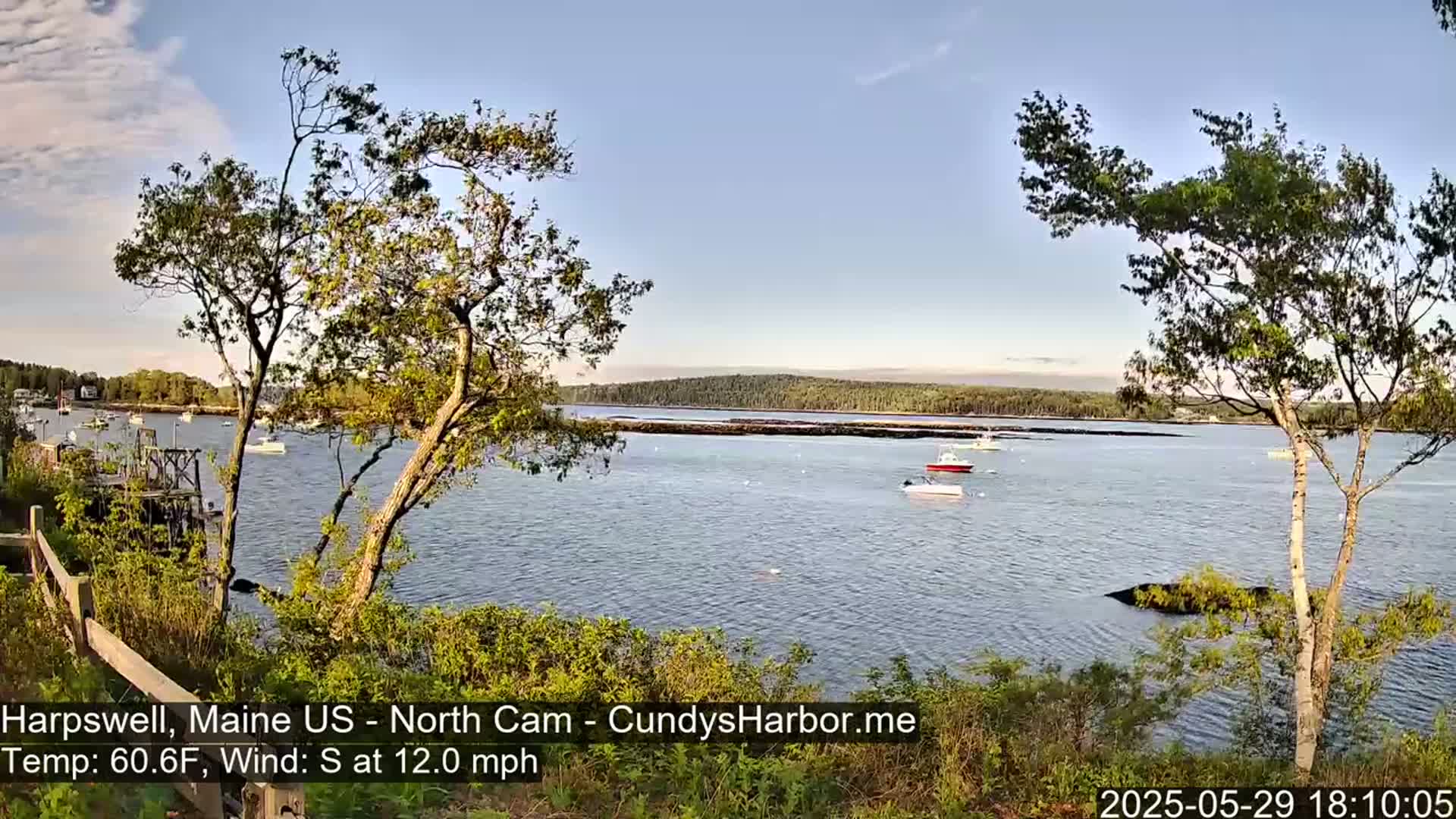 A calm body of water with several boats, viewed from a shoreline with trees and shrubs, under a clear sky.