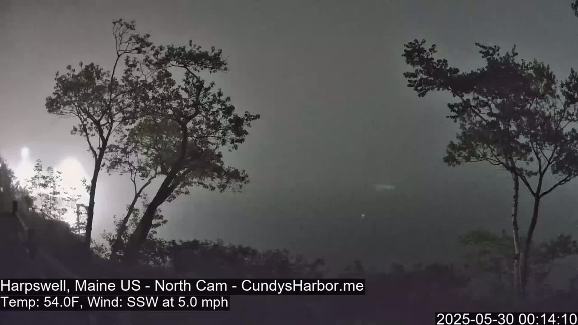 Two silhouetted trees are visible in a foggy, nighttime scene with a 5 mph south-southwesterly wind.