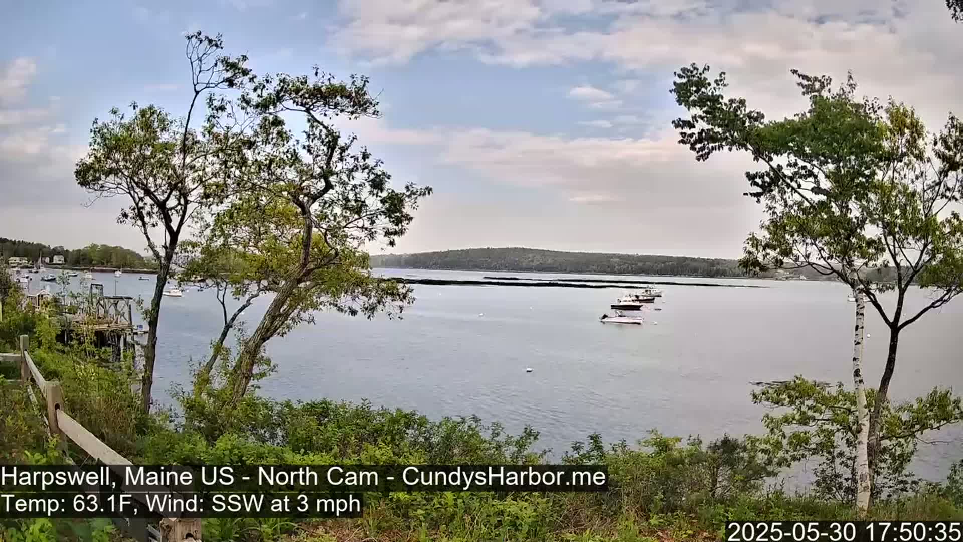 A calm bay with several boats is viewed from a wooded hillside under partly cloudy skies.