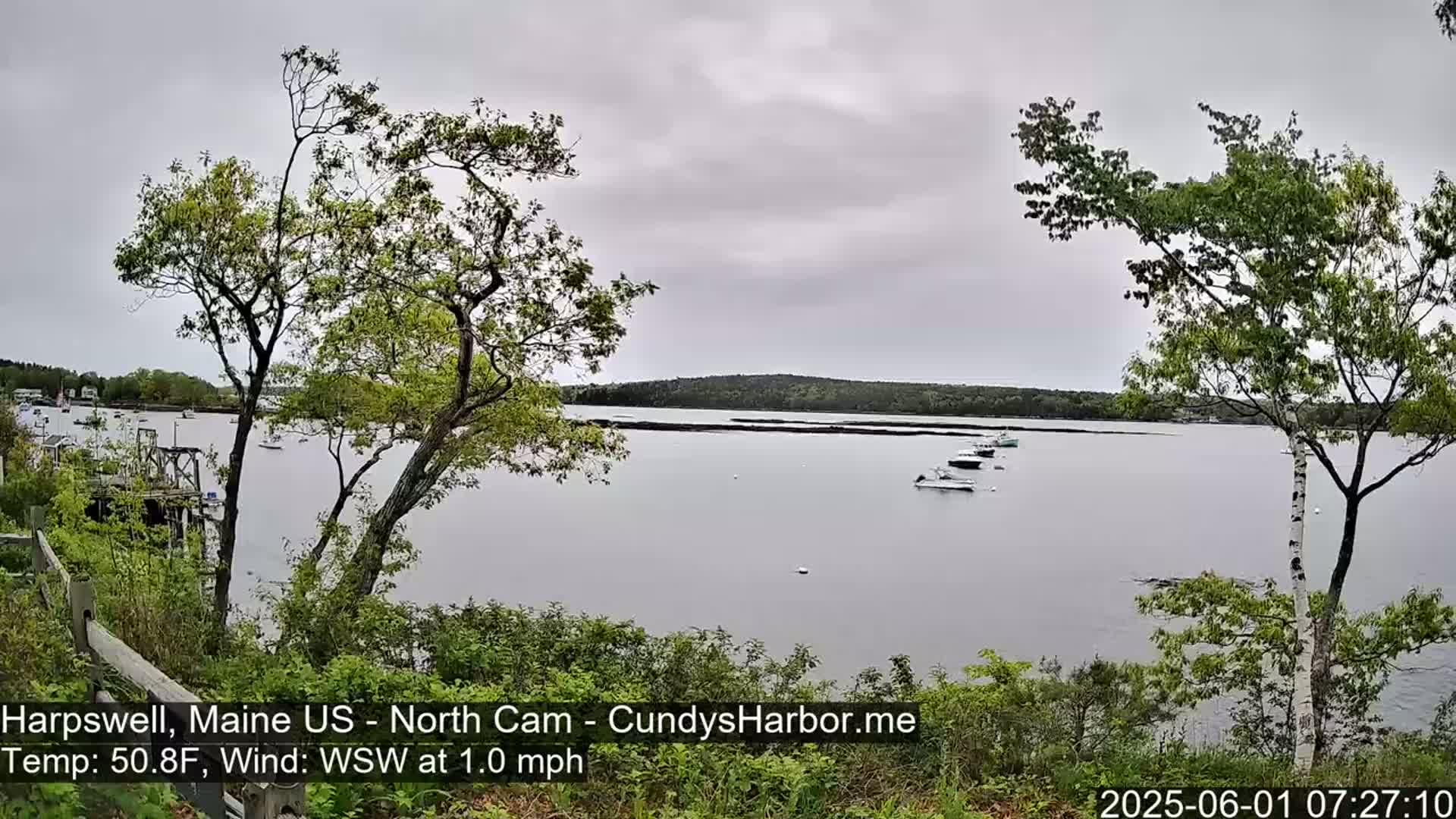 Several boats are moored in a calm, gray-skied bay, viewed from a wooded shoreline.