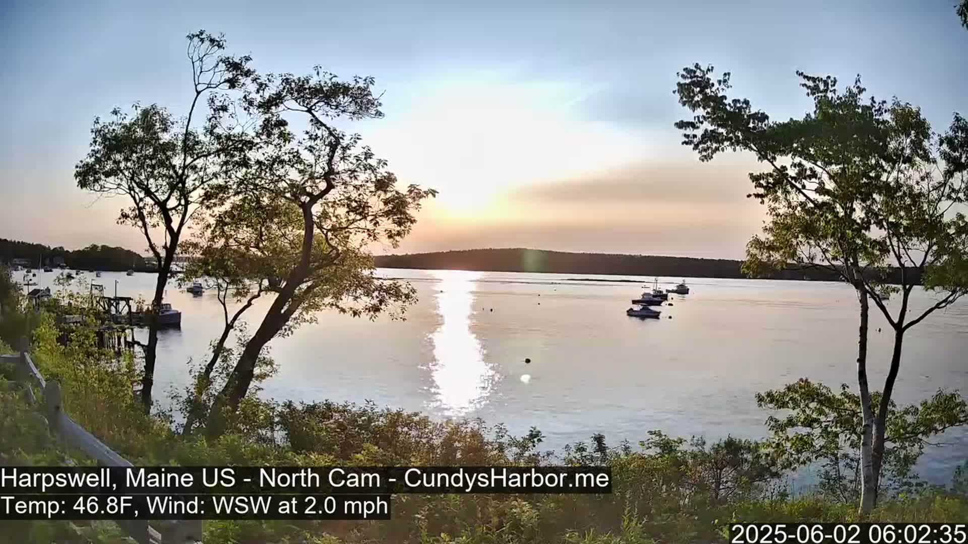A calm, sunlit body of water with several boats is seen from a shoreline vantage point, framed by trees at sunset.