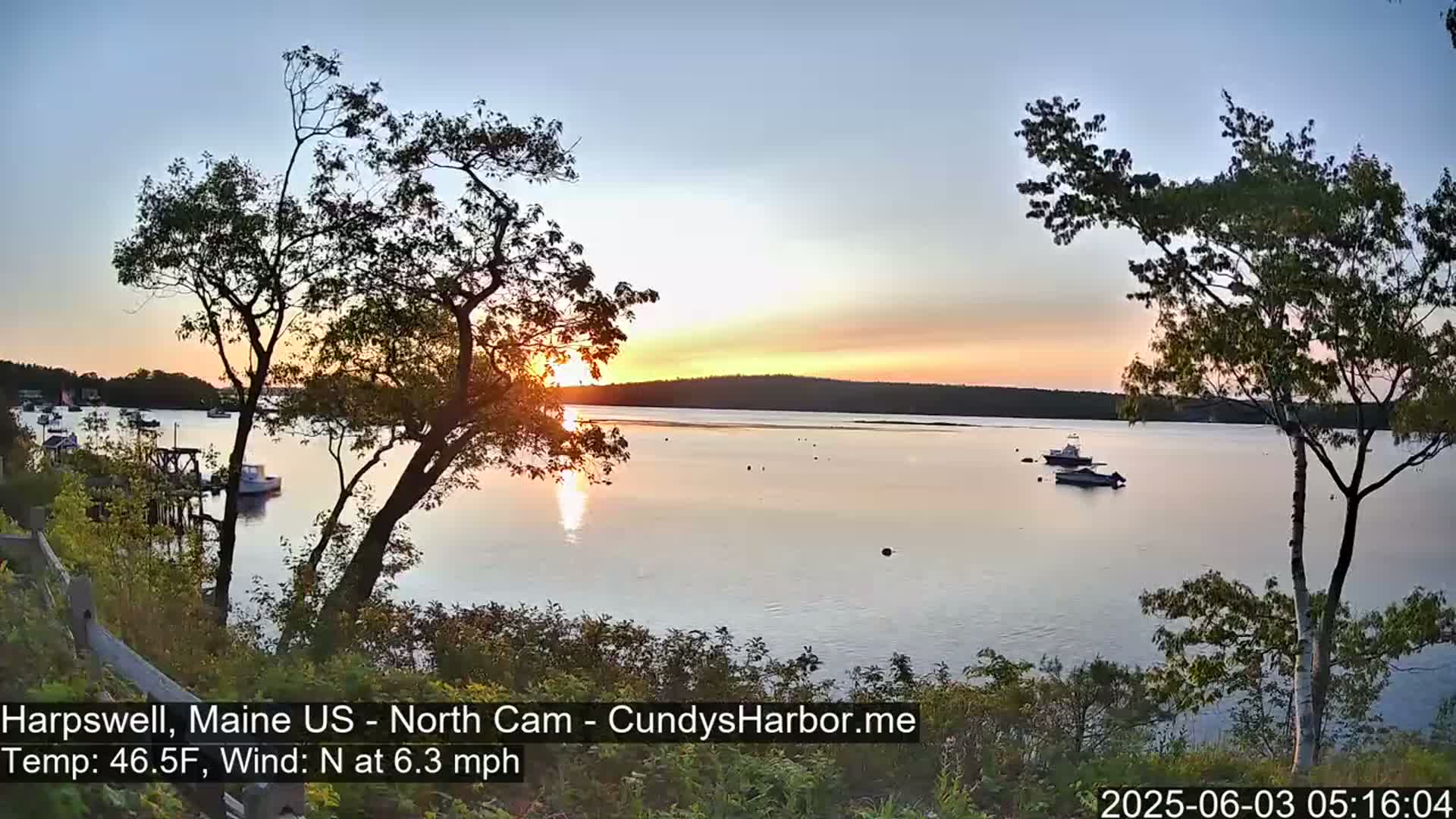A calm body of water at sunset, with several boats anchored, is viewed from a shoreline with trees in the foreground under a clear sky.