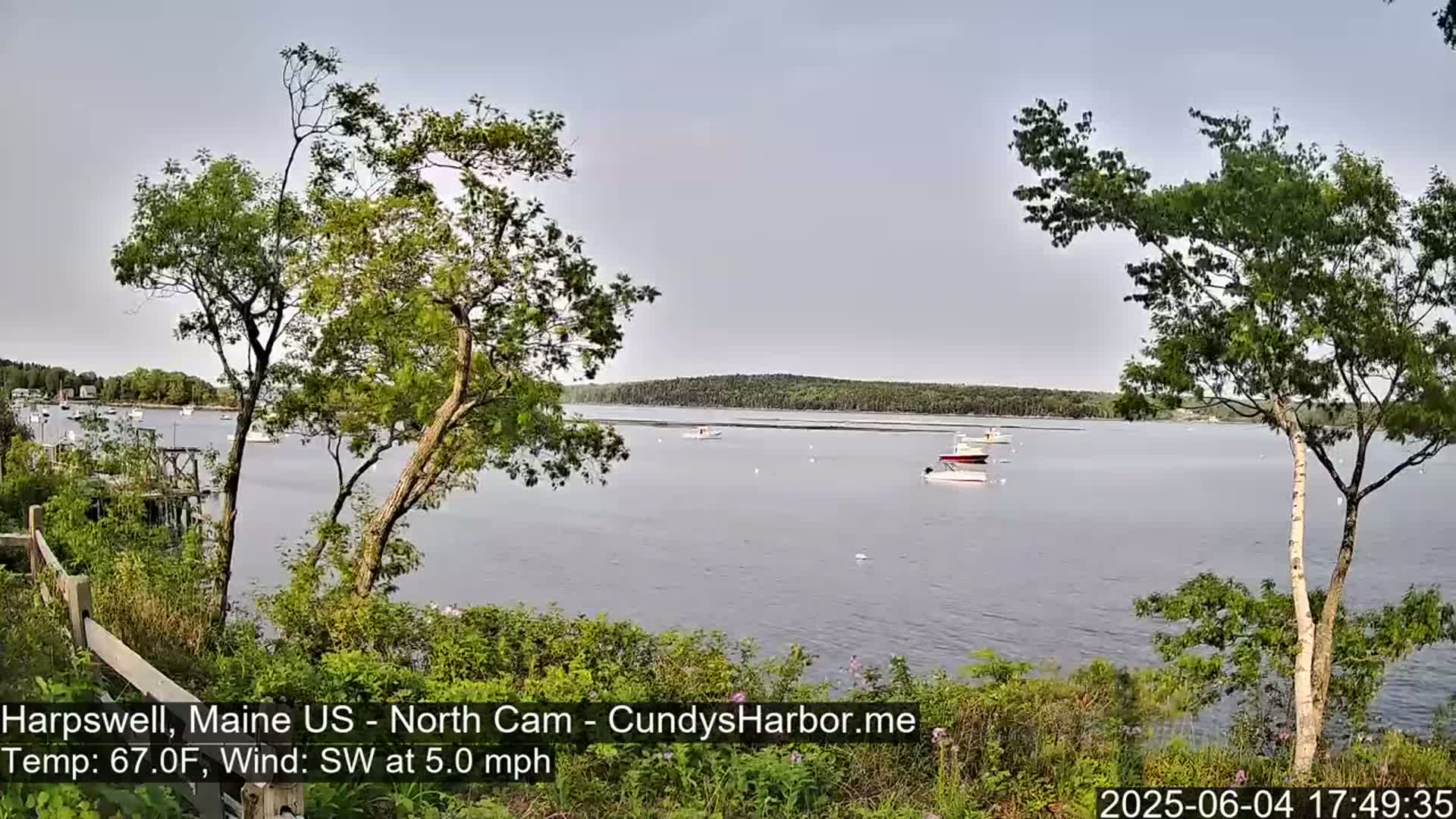 A calm body of water with several boats is seen from a shoreline vantage point under a mostly clear sky, with trees and vegetation in the foreground.