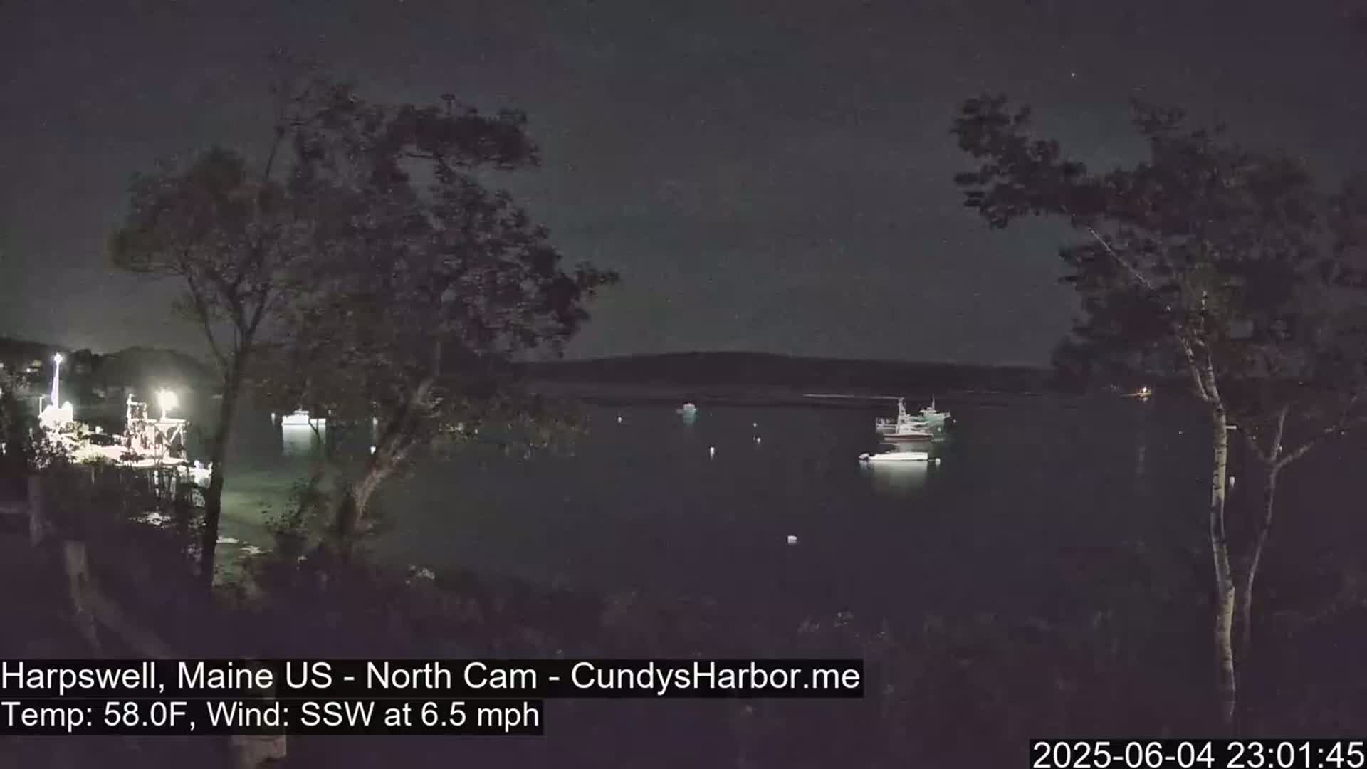 A nighttime view of a calm harbor with several boats, seen from a shoreline with trees under a dark, clear sky.