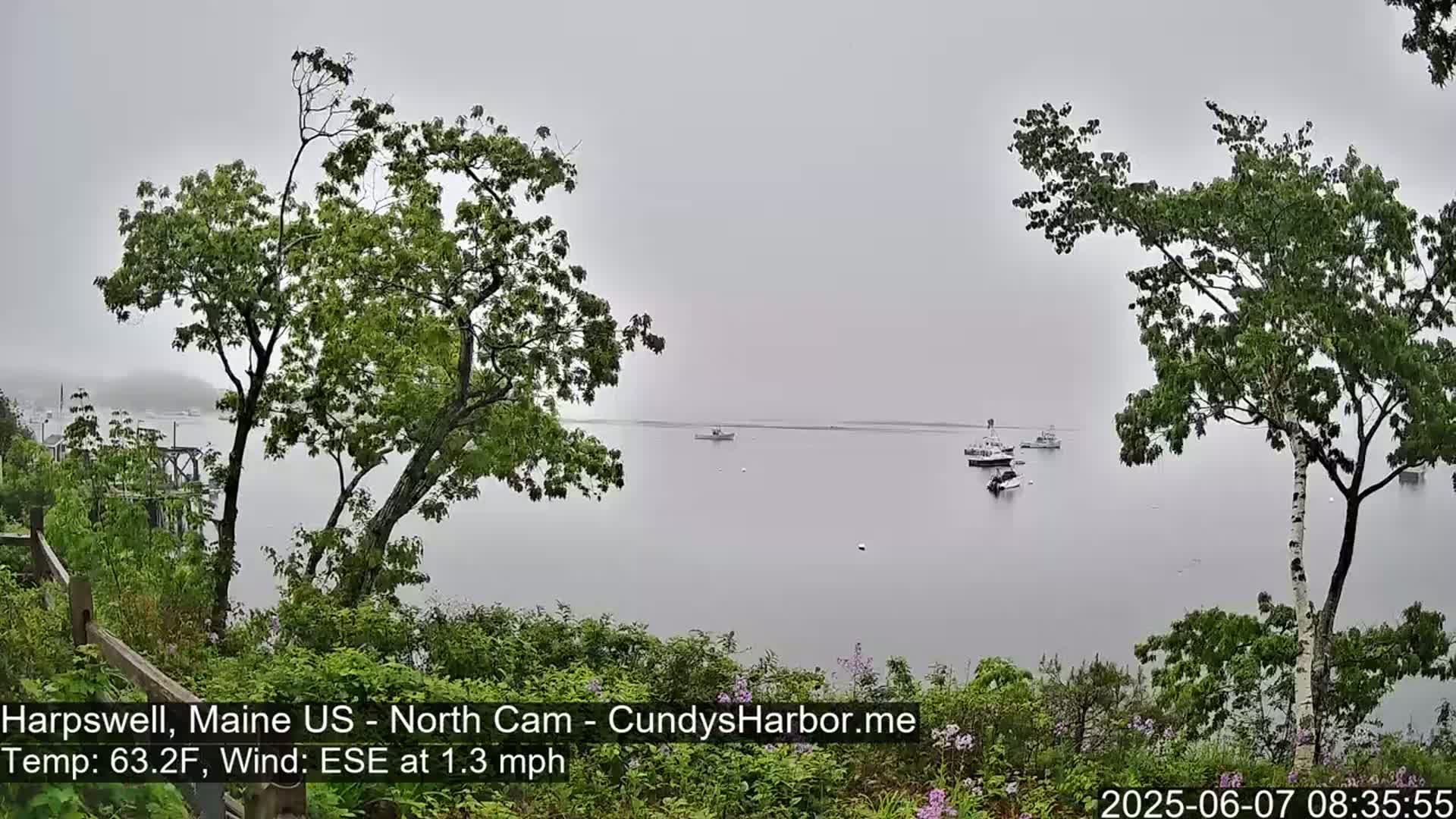 A foggy, calm harbor scene is viewed from a slightly elevated vantage point, showing several boats on the water and green trees in the foreground.