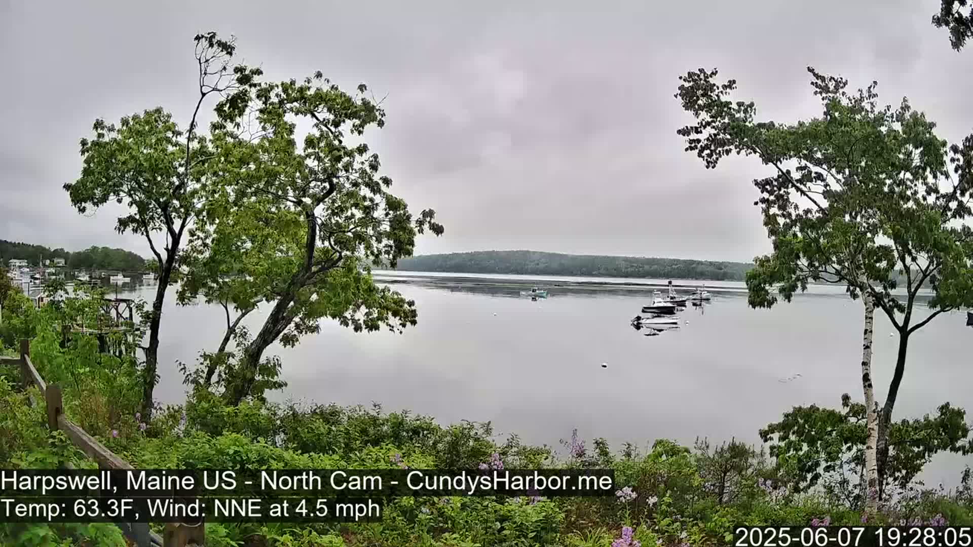 A calm, overcast day shows a view of a body of water with several boats moored, framed by green trees and shrubs.
