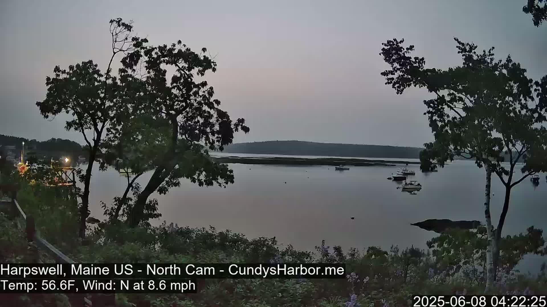 A calm, dusky-lit body of water with several boats is seen from a shoreline with trees and low-lying vegetation, under a gray sky.