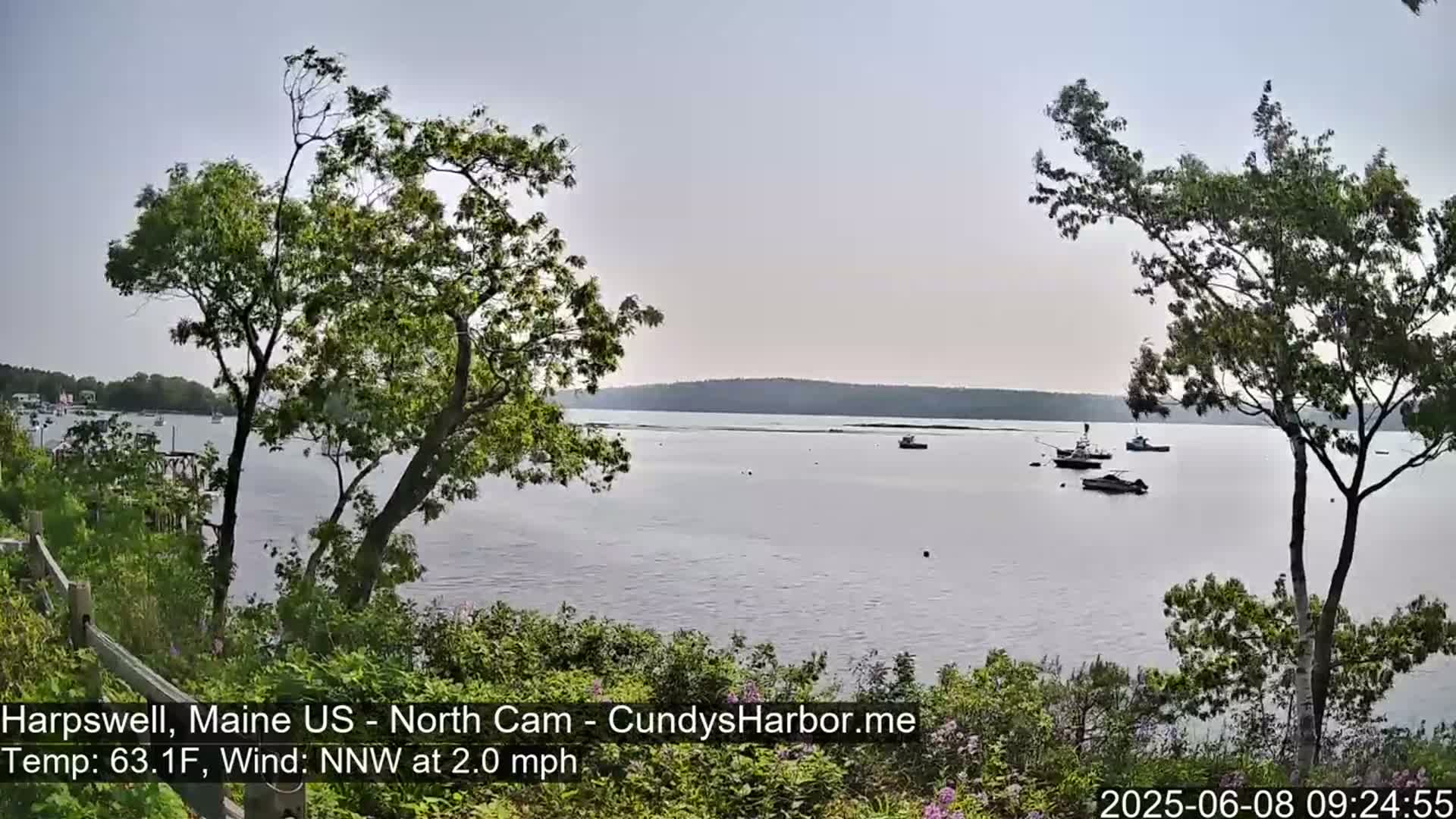 A calm body of water with several boats is seen from a shoreline vantage point, partially obscured by trees under a light overcast sky.