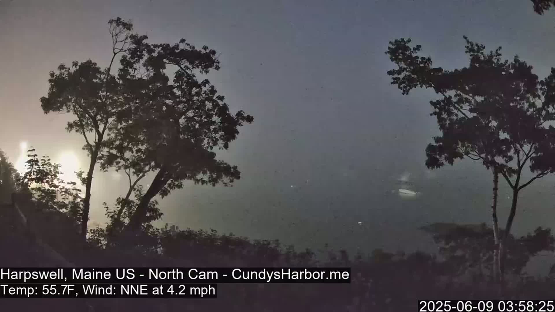 Two silhouetted trees stand against a hazy, twilight sky over a dark body of water.