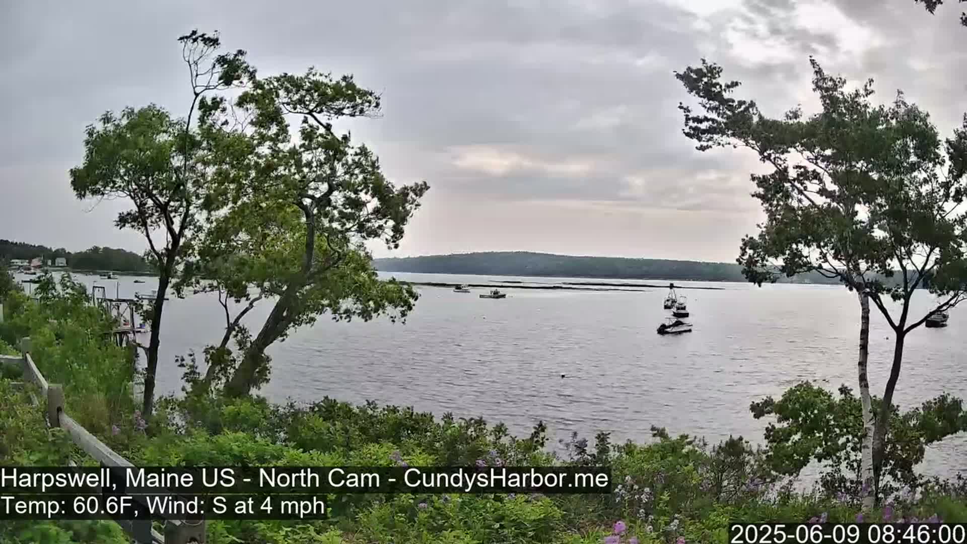 A calm, overcast day reveals a tranquil body of water dotted with several small boats, viewed from a verdant shoreline with trees swaying gently in a light south wind.