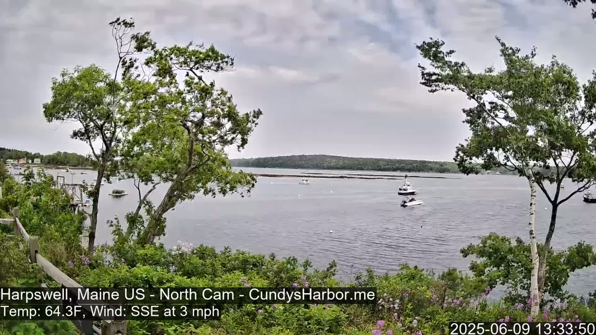 A calm body of water with several boats, viewed from a slightly elevated vantage point amongst leafy green trees under an overcast sky.