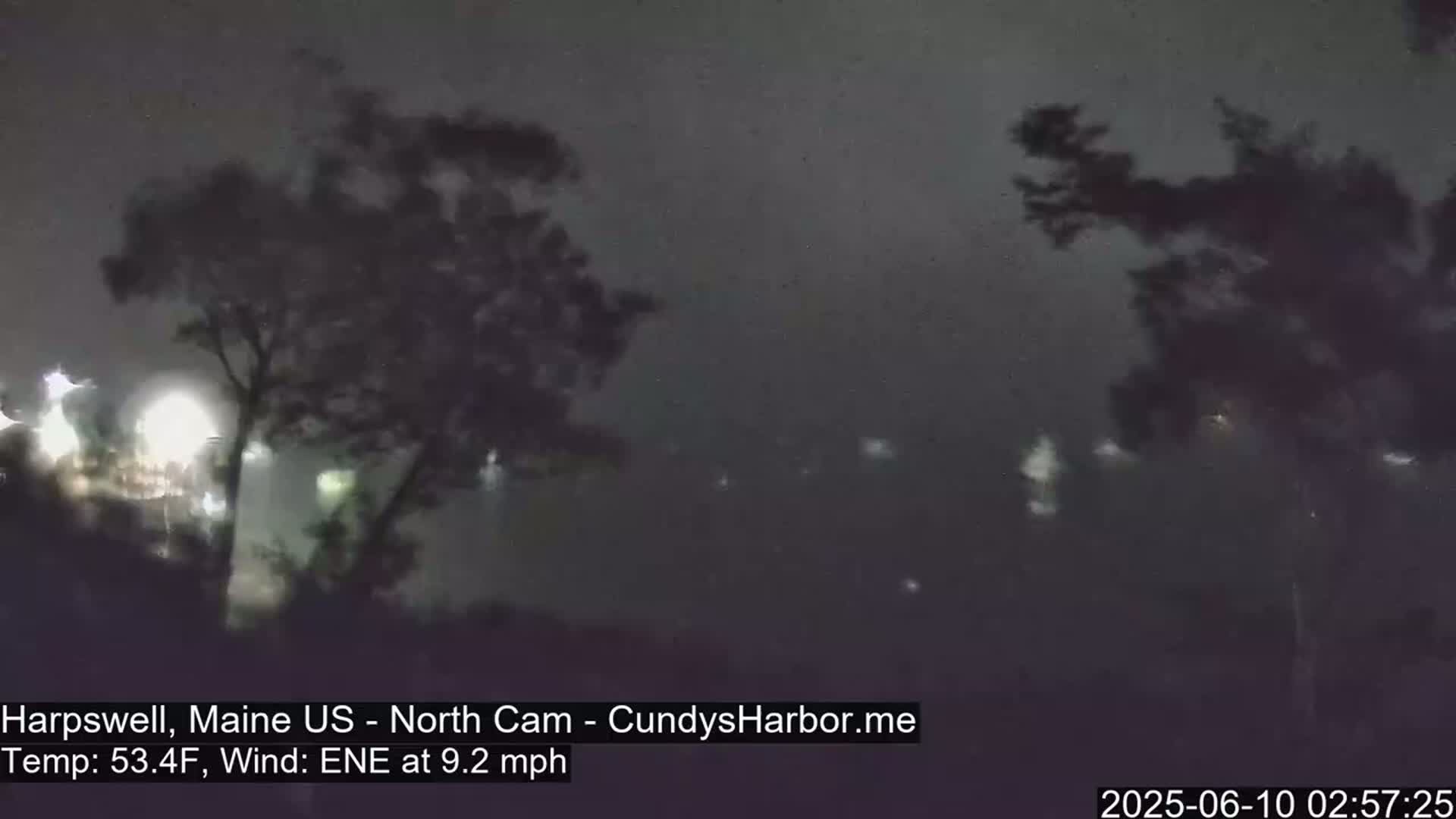 A nighttime, hazy scene shows dark trees silhouetted against a dark sky with a faint glow of lights in the distance.