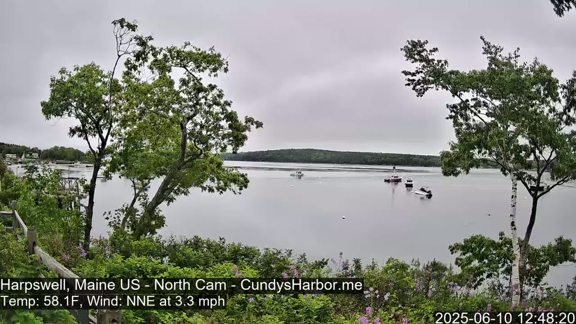 A calm, overcast day reveals a tranquil body of water with several boats, viewed from a wooded shoreline.