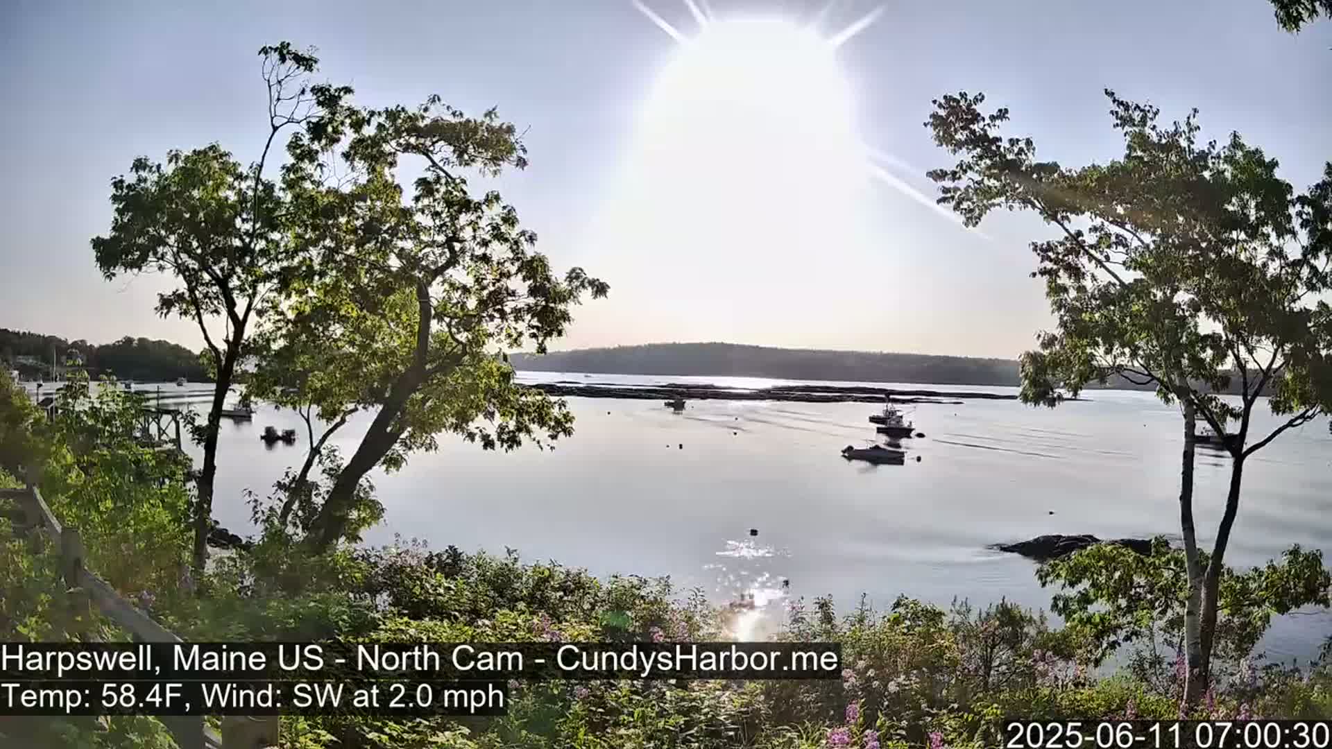 A sunny, calm day overlooks a harbor with several boats, viewed from a vantage point partially obscured by trees.