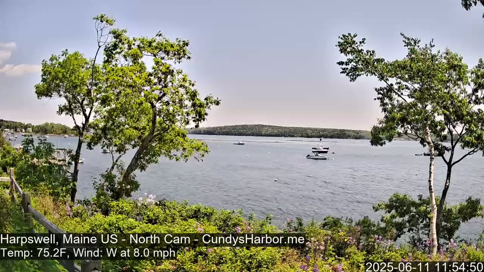 A calm body of water with several boats is viewed from a shoreline with lush green trees and flowering bushes under a clear sky.