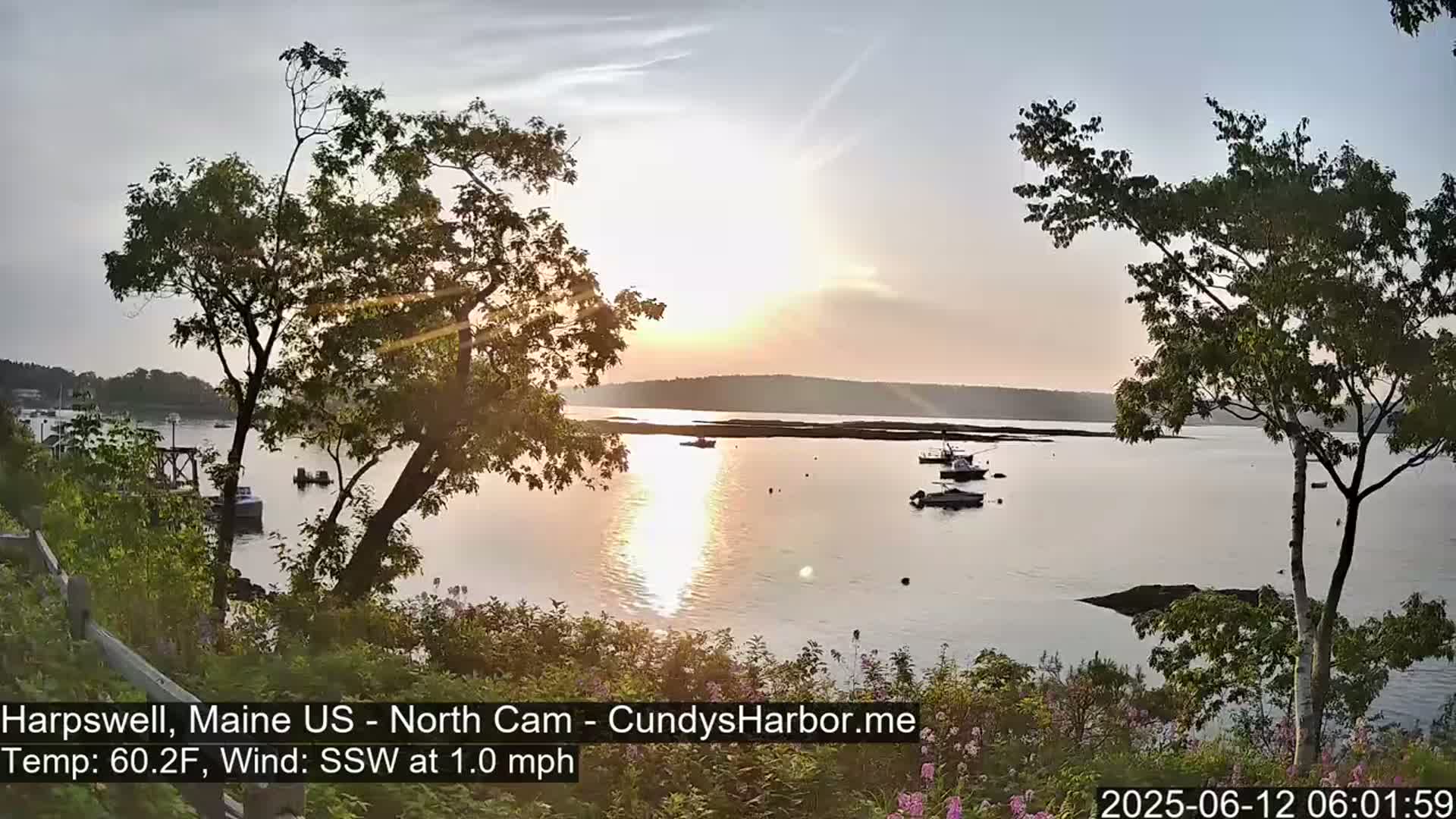 A calm, sunlit bay with several boats is viewed from a shoreline with trees and flowering plants, under a mostly clear sky.