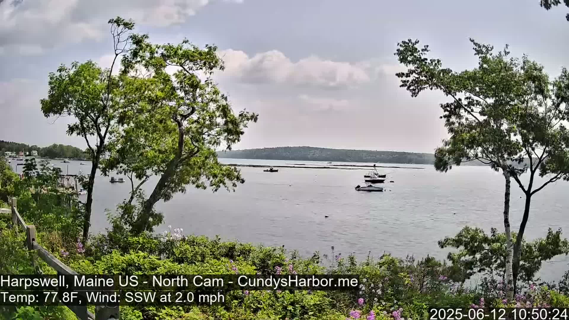 A calm body of water with several boats is viewed from a slightly elevated vantage point, under a partly cloudy sky, with trees and vegetation in the foreground.