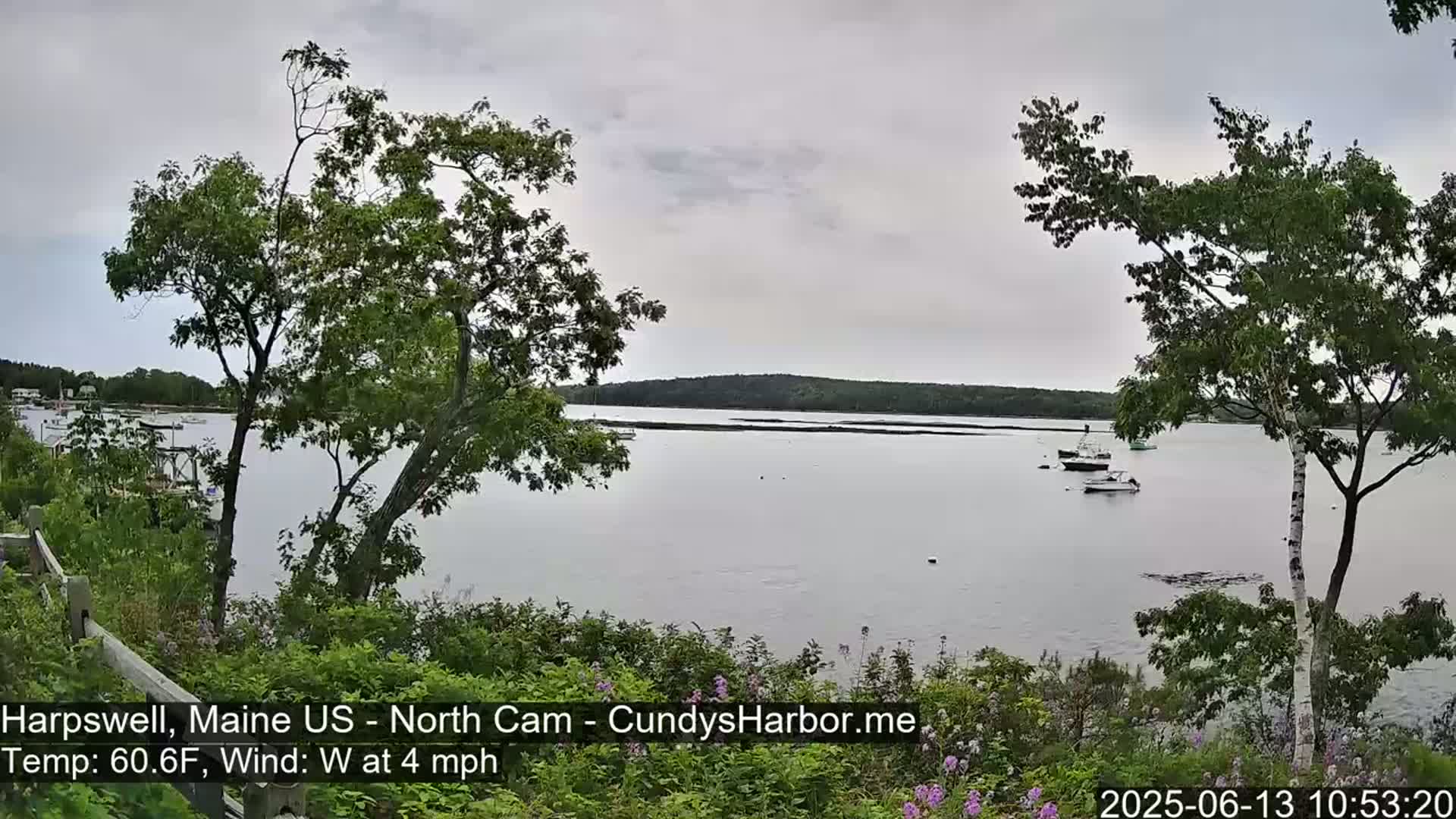 A calm body of water with several boats is viewed from a shoreline with green trees and shrubs under an overcast sky.