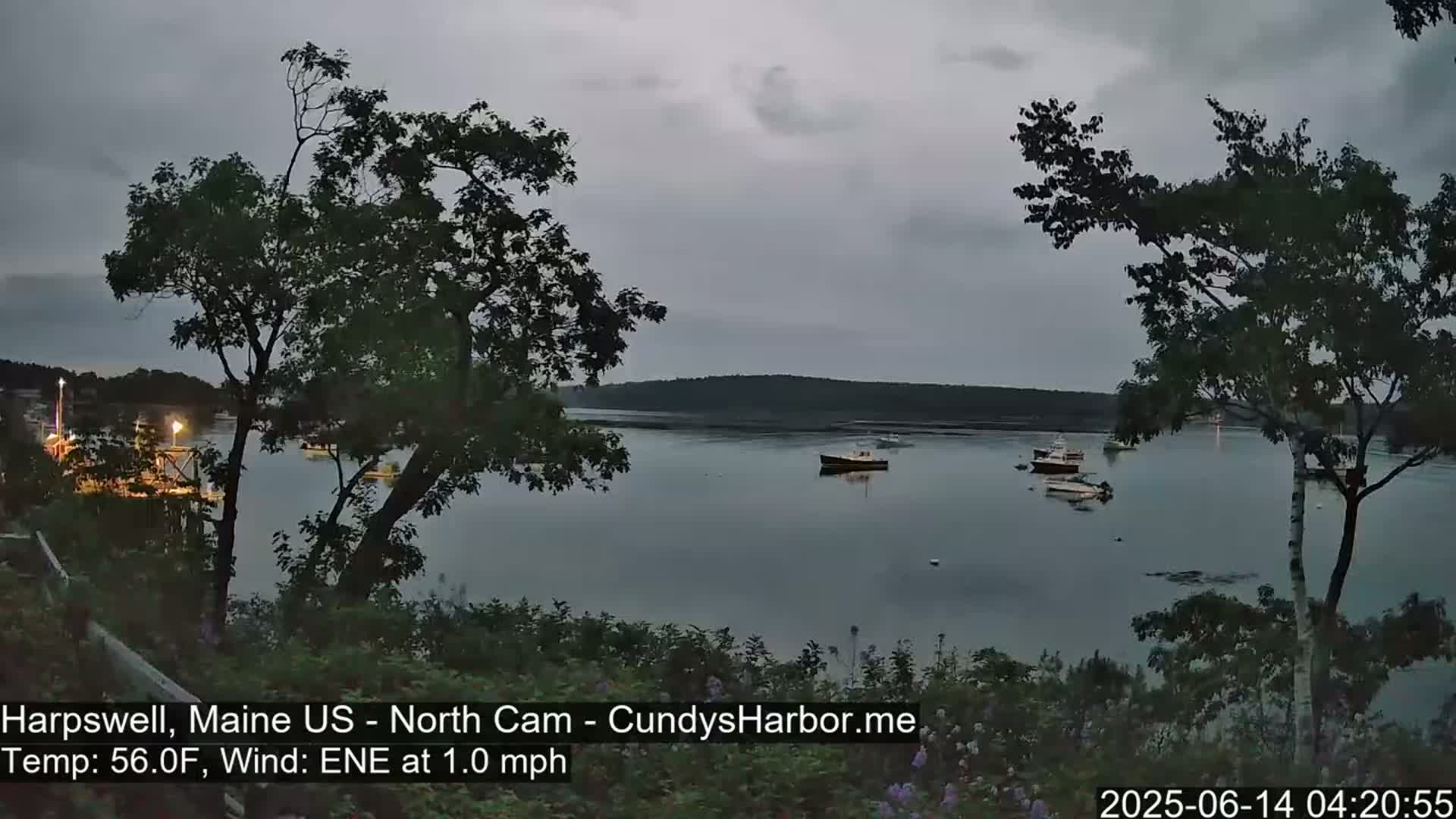 Several boats are moored in a calm, gray-lit harbor, partially obscured by trees under an overcast sky.