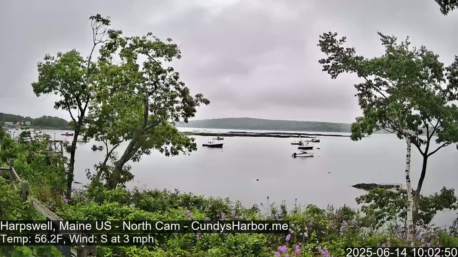 A calm, overcast day reveals a tranquil bay with several boats moored, viewed from a vantage point among green foliage.