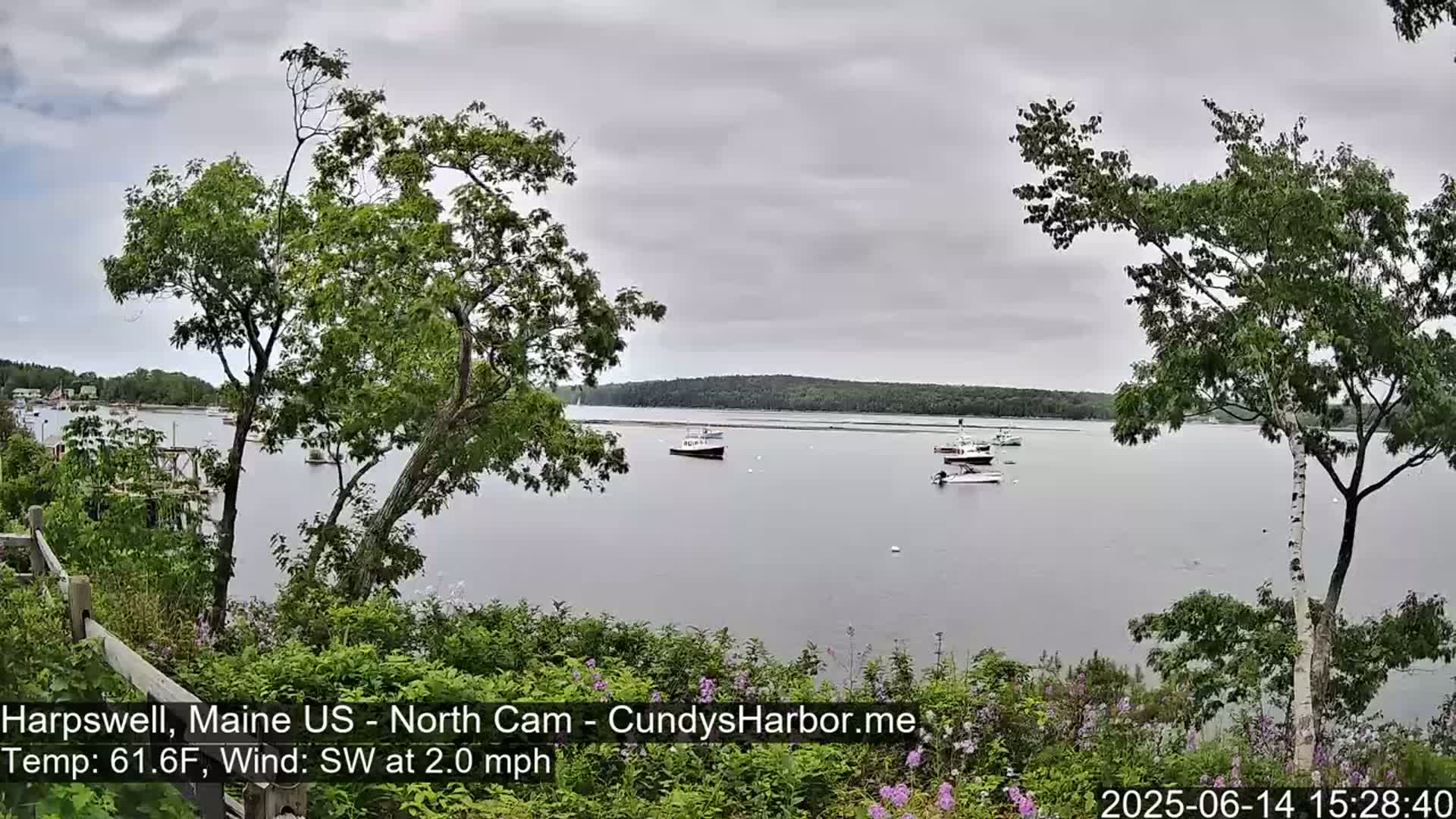 A calm, overcast day reveals a tranquil bay with several boats moored, viewed from a vantage point among green foliage.