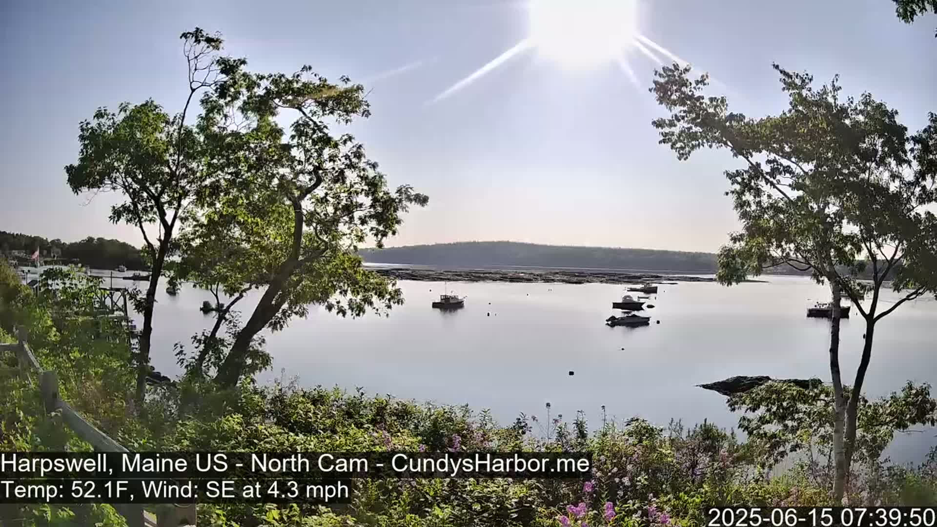 A sunny, calm day reveals a view of a harbor with several boats at anchor, seen from a shoreline with trees and shrubs.