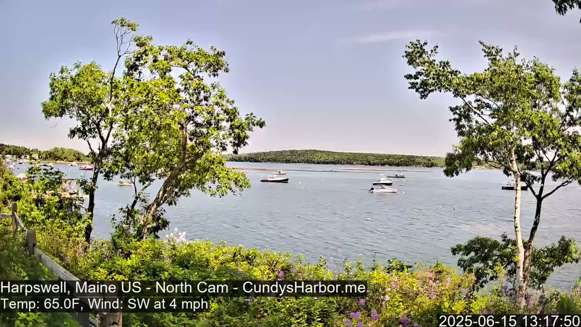 A calm body of water with several boats is seen from a slightly elevated vantage point, partially obscured by trees and flowering shrubs on a sunny day with a southwest wind.