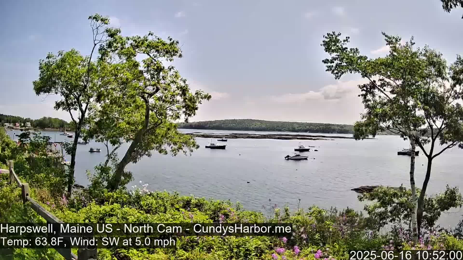 Several boats are moored in a calm bay under a partly cloudy sky, viewed from a verdant shoreline with trees and bushes in the foreground.