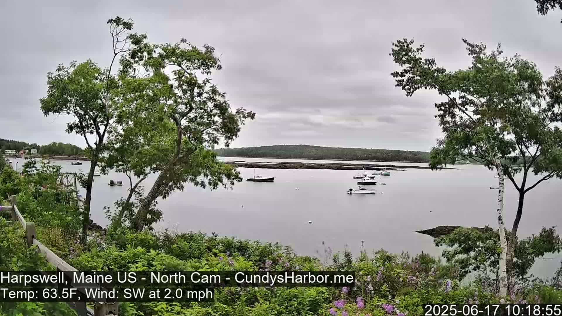 Several boats are moored in a calm, gray-sky harbor, partially obscured by trees and shrubs on an elevated vantage point.
