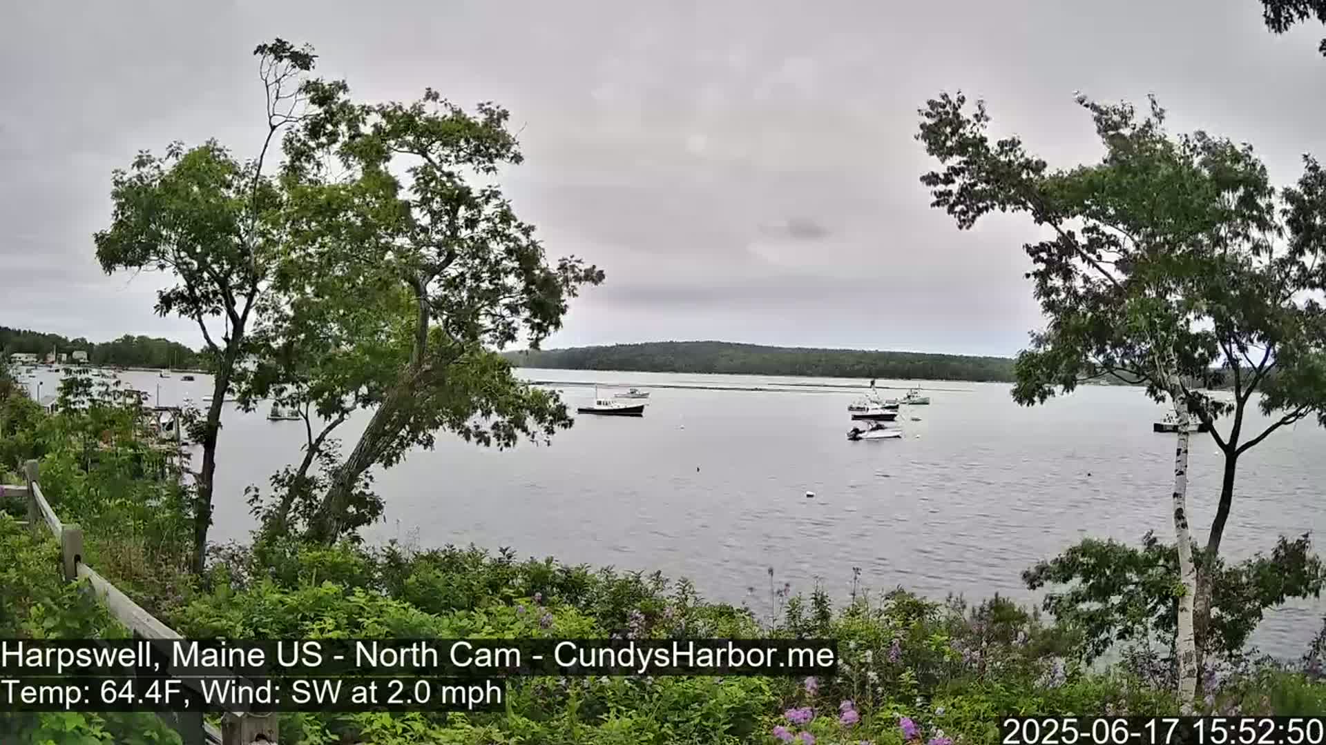 Several boats are moored in a calm body of water under an overcast sky, viewed from a slightly elevated vantage point amidst green foliage.