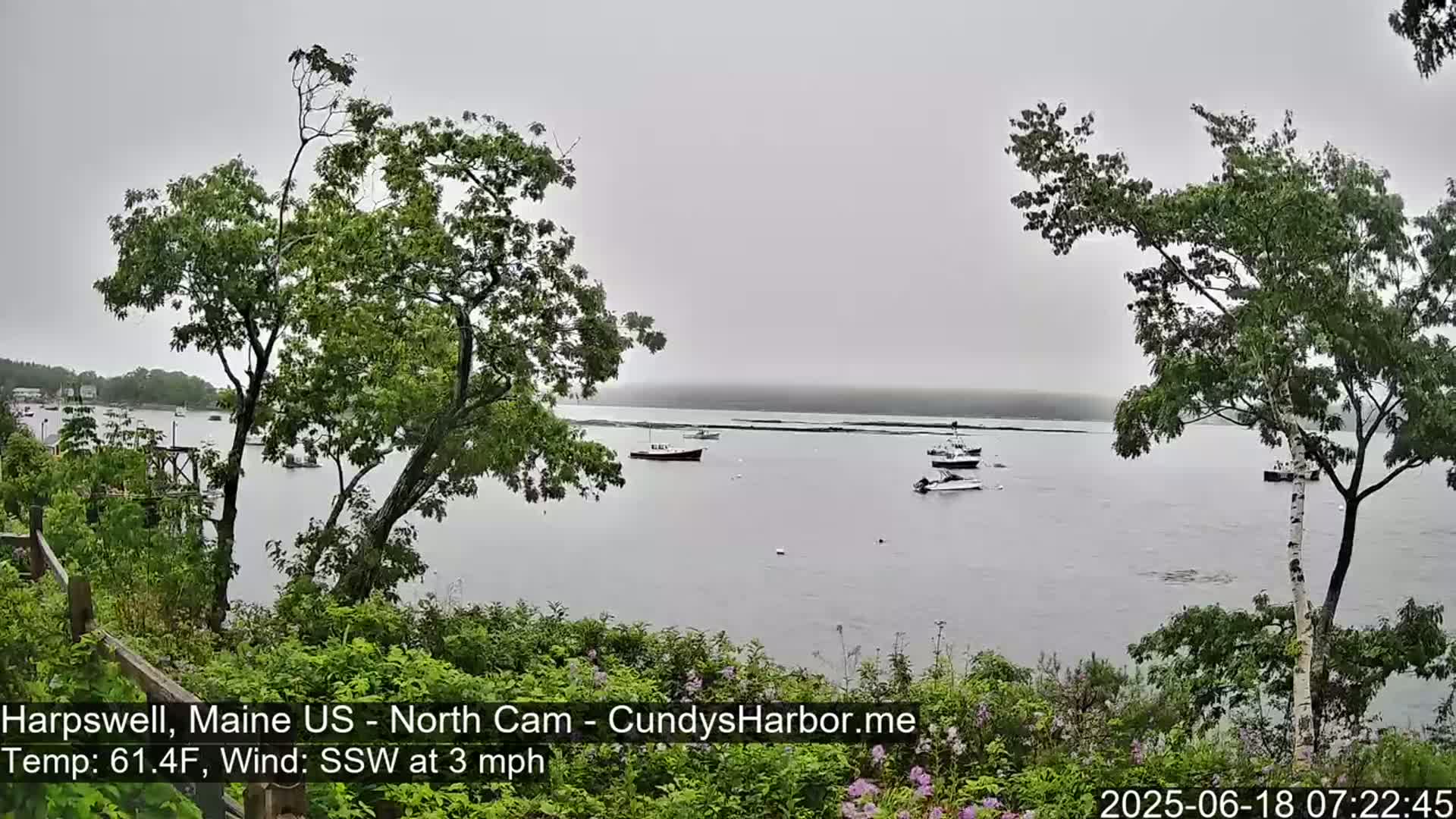 A calm, overcast body of water with several small boats is viewed from a slightly elevated vantage point, partially obscured by leafy green trees.