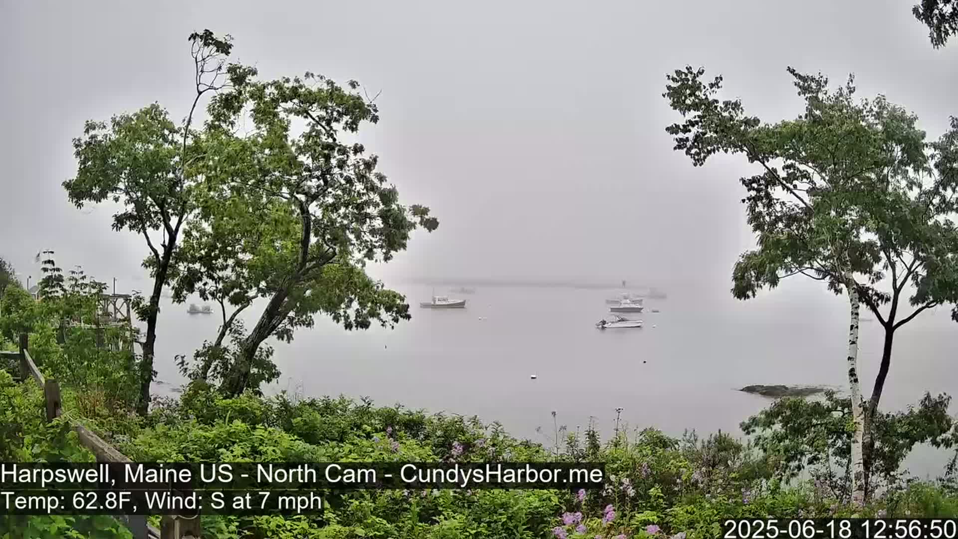 A foggy view of a calm body of water with several boats, seen from a vantage point partially obscured by trees.