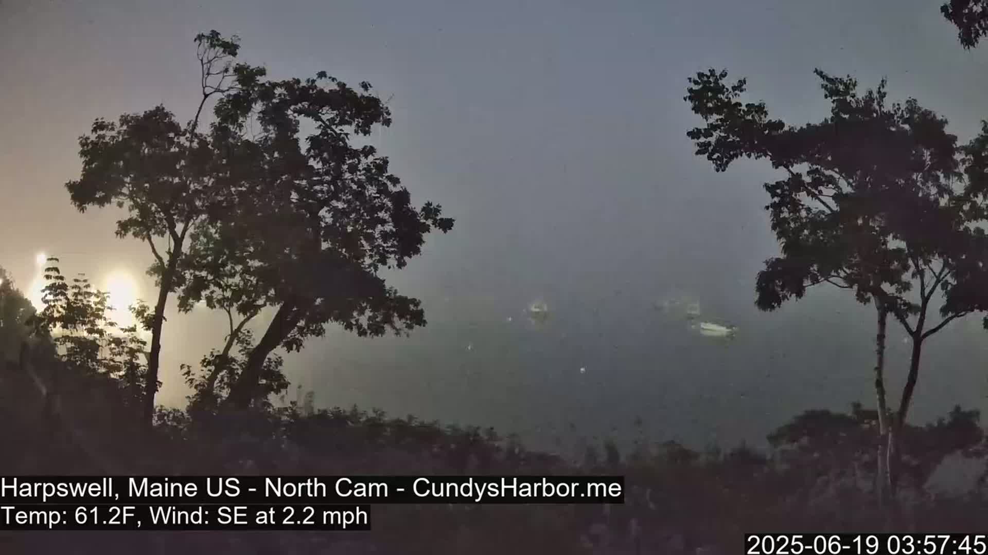 Silhouetted trees stand against a foggy, hazy background, with a body of water visible in the distance.