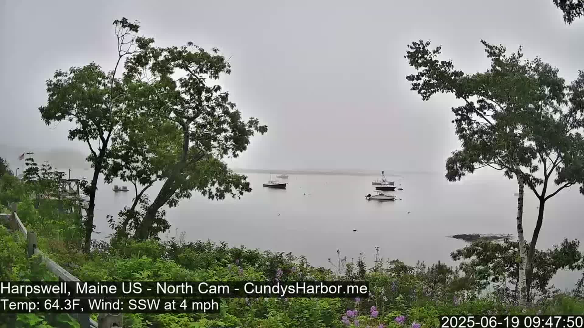 Several boats are moored in a calm, foggy body of water viewed from a shoreline with lush green trees and vegetation.