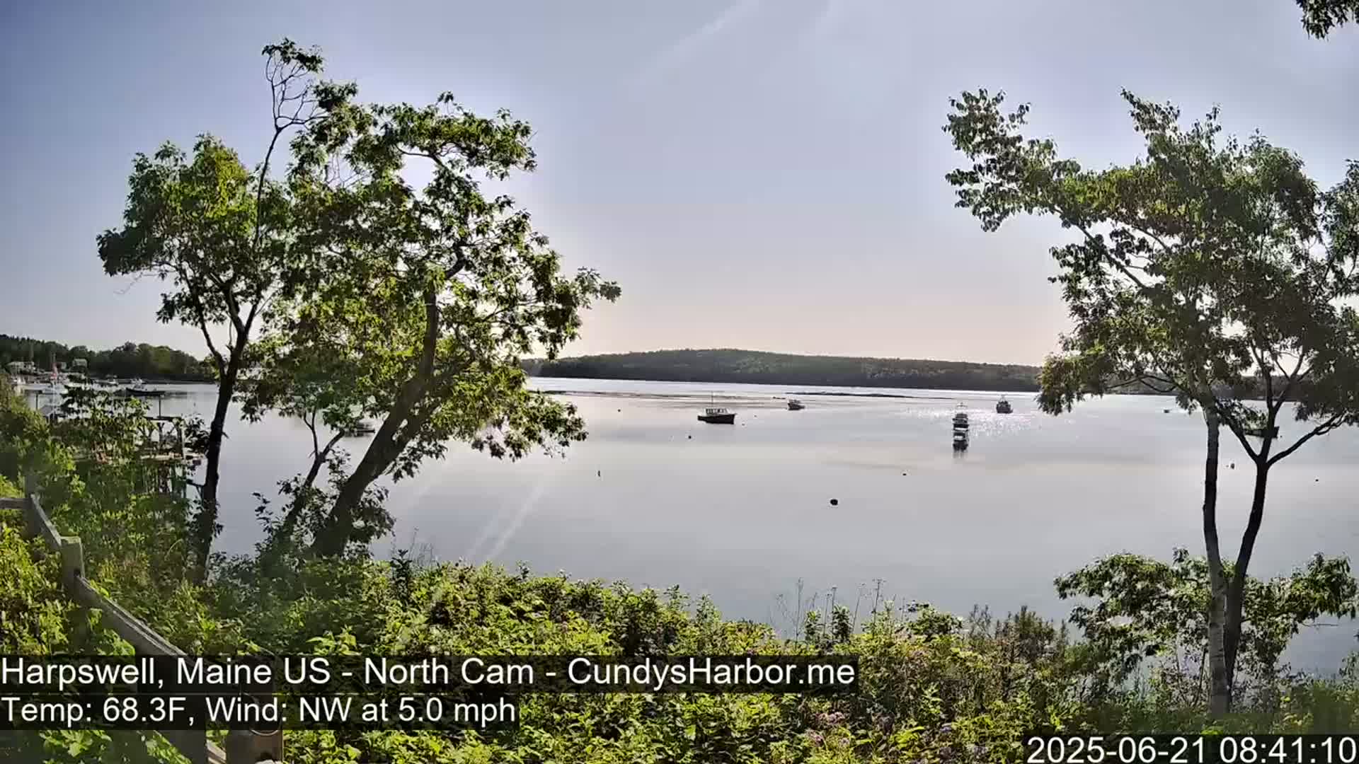 A calm body of water with several boats is viewed from a shoreline with trees under a partly sunny sky.